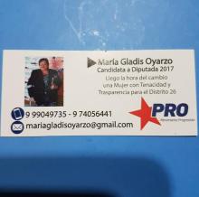 Maria Oyarzo, Candidata a Diputada del Distrito 26