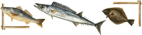 Pescados