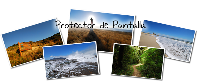 PROTECTOR DE PANTALLA GRATIS