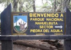 CAÑETE