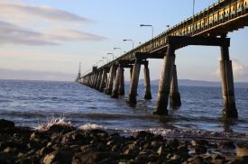 Muelle