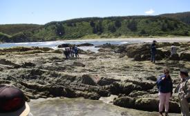 Taller de terreno Geoparque en Tomé.