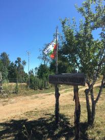 Apoyo al FPA de Carampagne (Arauco)